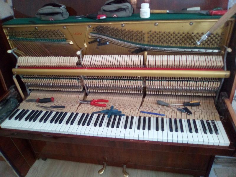 владислав:  Настройка пианино