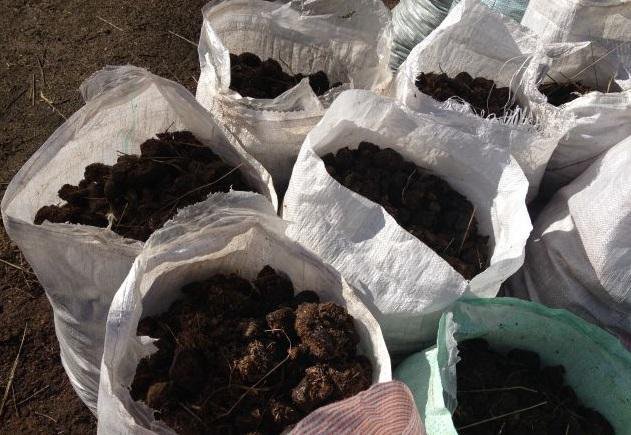 Конский навоз в мешках. Самовывоз