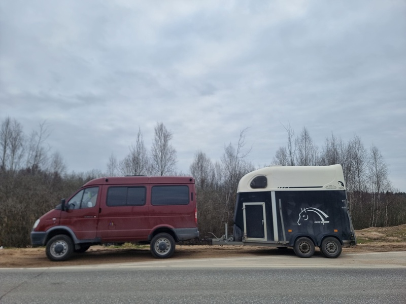 Перевозка лошадей.