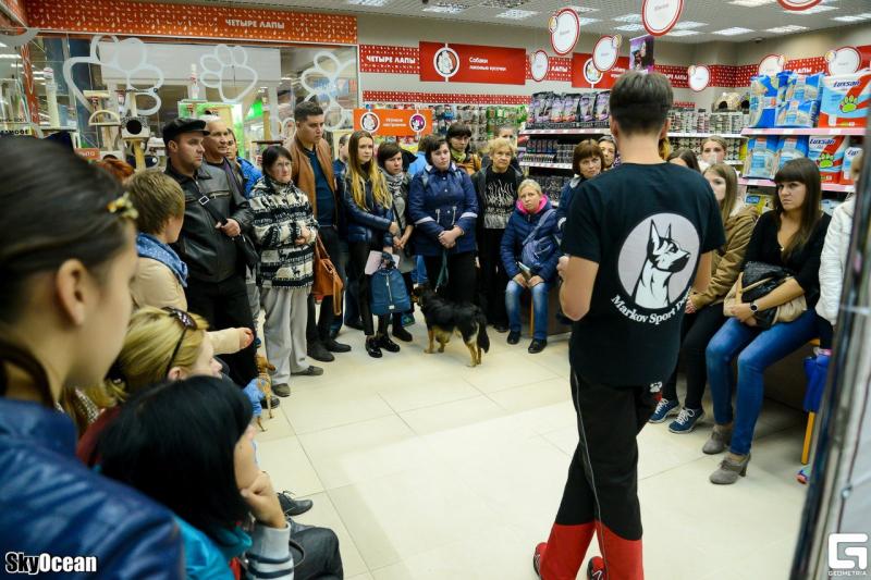 Markov Sport Dogs:  Дрессировка собак в Воронеже, Услуги кинолога