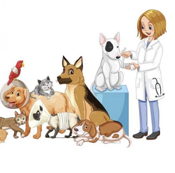 Дарья:  Ветеринарный врач