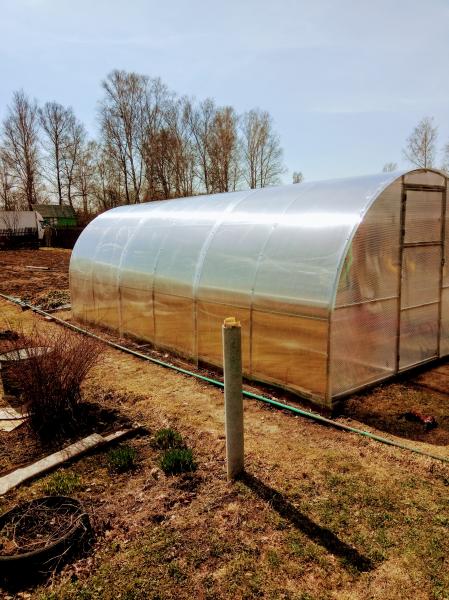 ремонтируем теплицы, арочного типа
