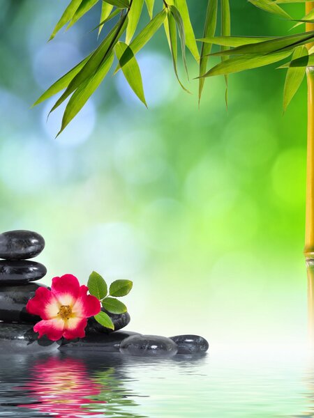 Массаж Горячие Апельсины