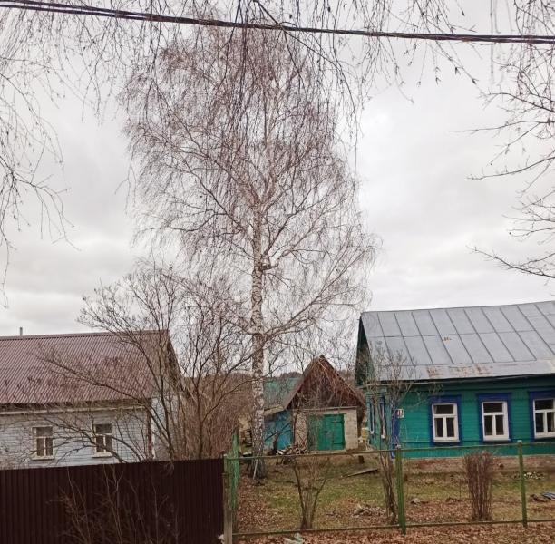 Андрей:  Спил и обрезка деревьев в Домодедовском районе