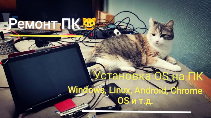 Виктор:  Установка ОС - Windows, Linux, Android, Chrome OS и т.д.