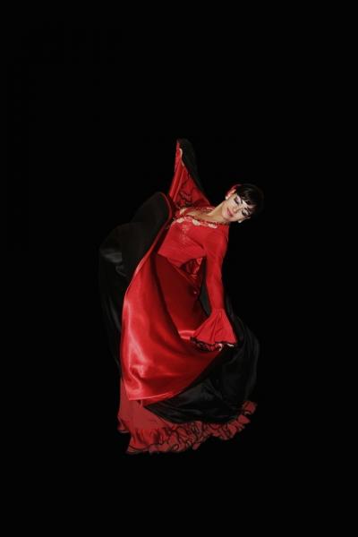 Валентина:  Восточные танцы, Светодиодное шоу- Сафира