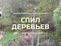 Анатолий Иванович :  Спил деревьев Удаление 