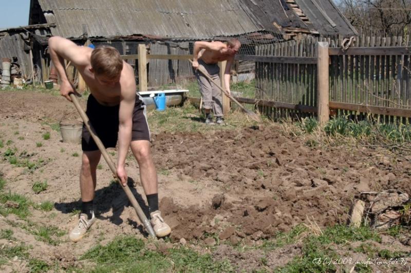 Вероника Александровна:  Перекопать огород вручную 