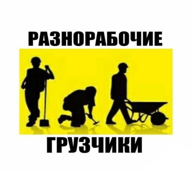 Тимур:  Услуги разнорабочих в Казани | Помощь на участке