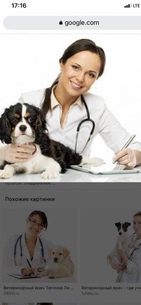 Светлана:  Ветеринарный врач на дом 