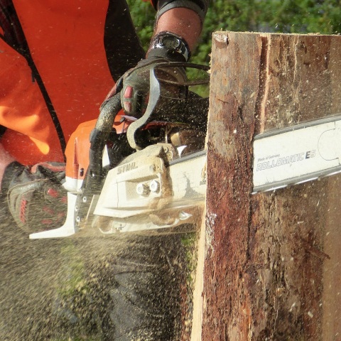 СПИЛ ДЕРЕВЬЕВ В РОСТОВЕ-НА-ДОНУ 