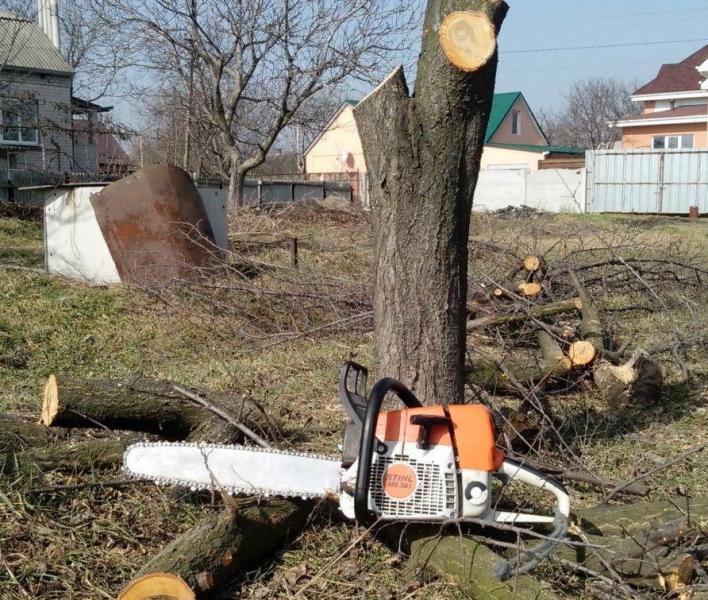 ...:  Спил деревьев в Шаблыкино