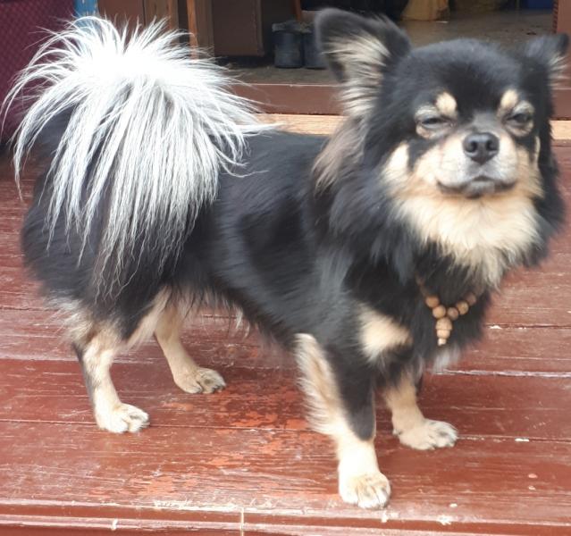 Ищем невесту