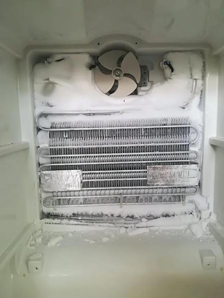 Артем:  Частный мастер по ремонту холодильников