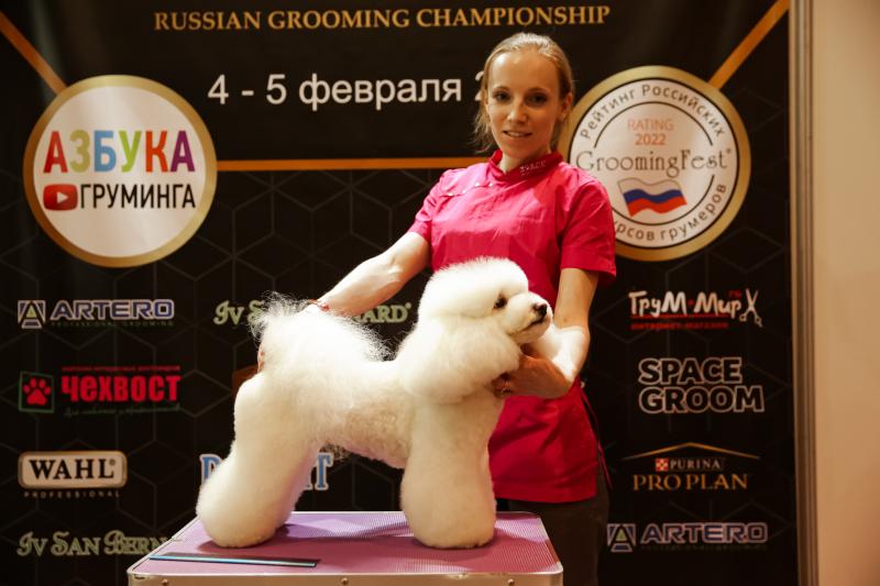 Екатерина Чижегова:  Груминг для животных