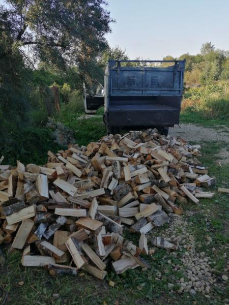 Илья:  Колотые березовые дрова в Талдоме