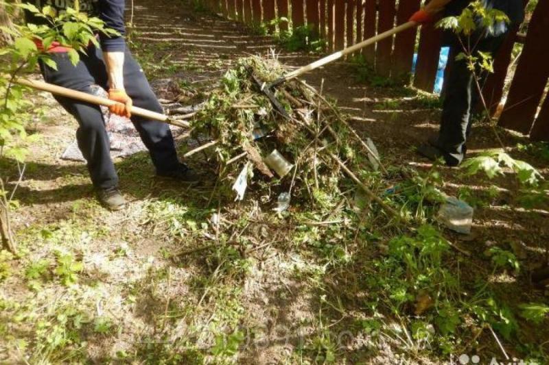 Тимур:  Уборка, очистка садовых участков в Казани 