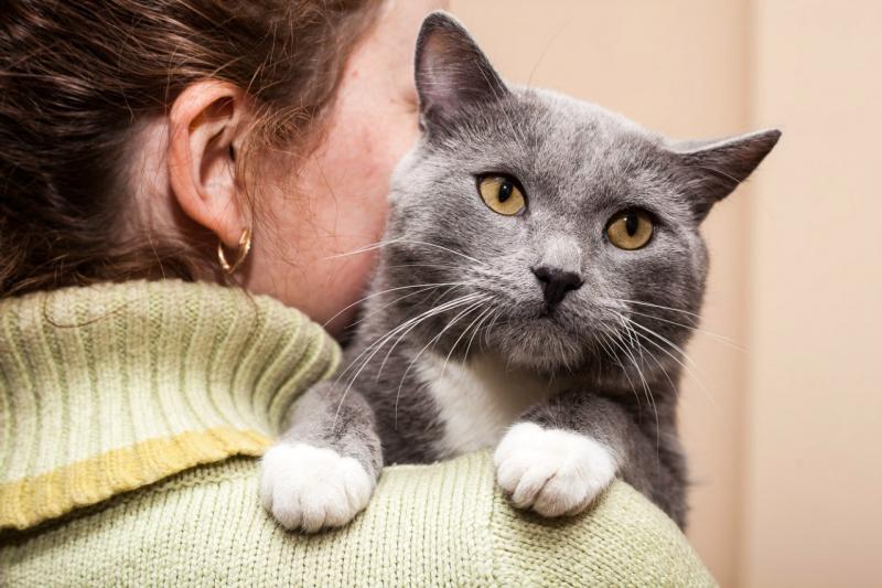Наталья:  Зоопсихолог, коррекция поведения кошек