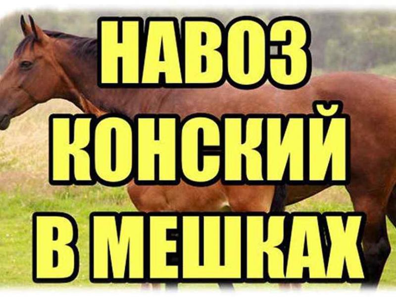 Навоз конский, Навоз коровий, Перегной 