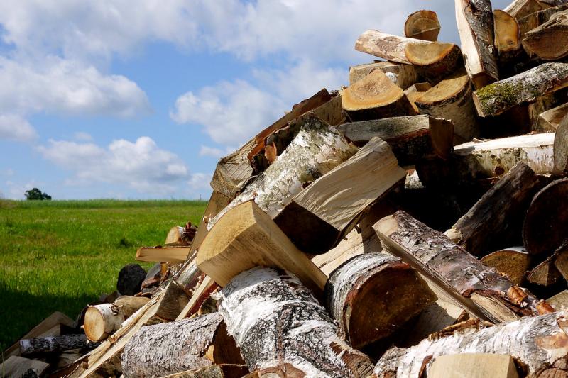 Дрова колотые с доставкой 