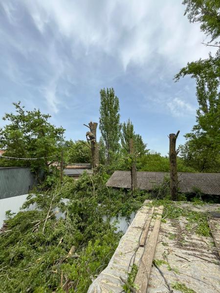 Спил аварийных деревьев и веток