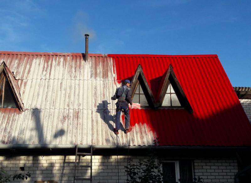 Евгений:  Покраска крыши в Пензе
