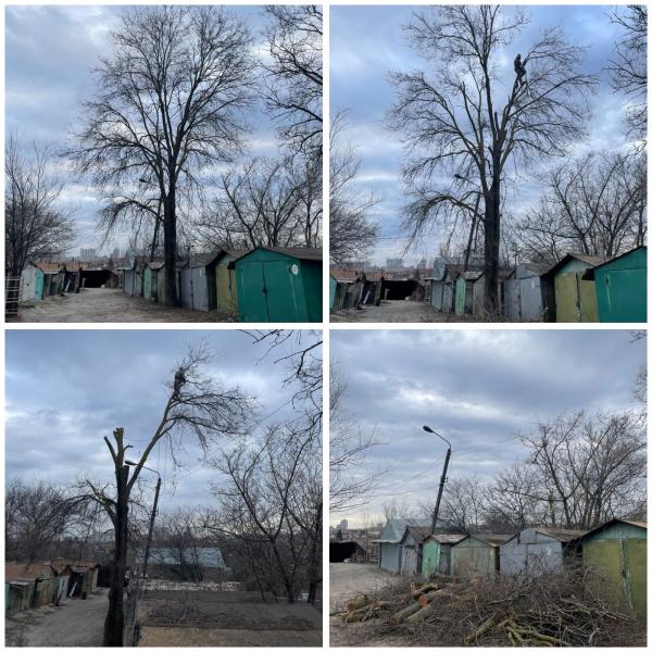 Алексей:  Спил деревьев в Батайск 