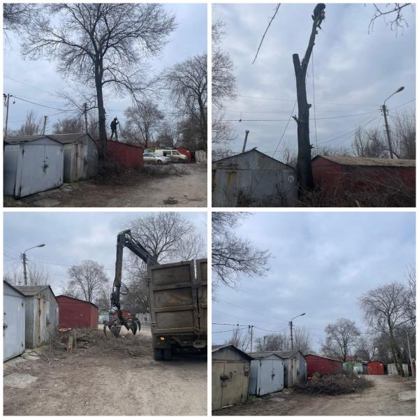 Алексей:  Спил деревьев в Батайск 