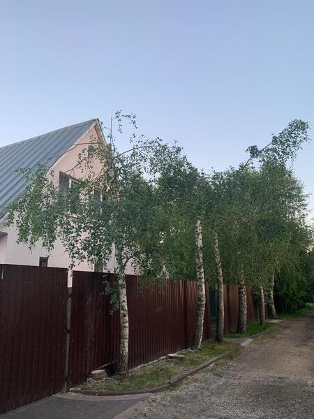 Спил деревьев дробление веток пней расчистка участка