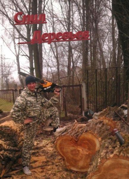 Алексей:  Профессиональный спил деревьев в Ростове на Дону