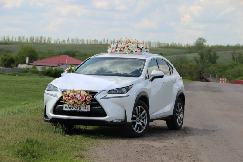 Автоэкзотика:  Машины на свадьбу и другие мероприятия 