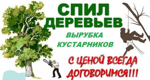 Спил, удаление деревьев и расчистка участков