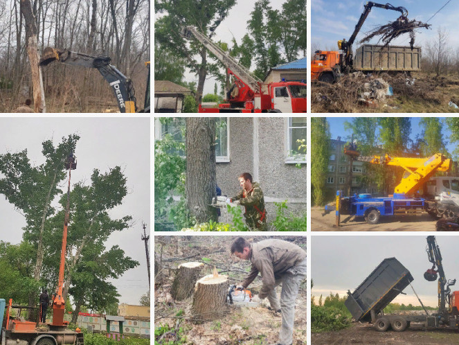Ярослав:  Спиливание деревьев и корчевание пней