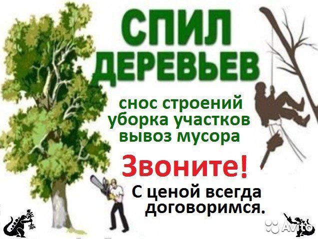 Анатолий Иванович :  Спил деревьев 