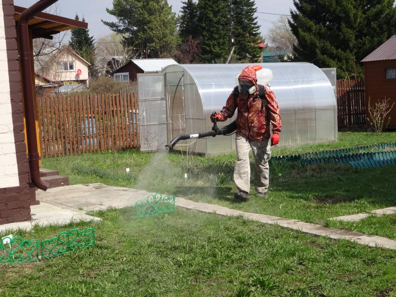 Обработка территории участков от клещей, комаров
