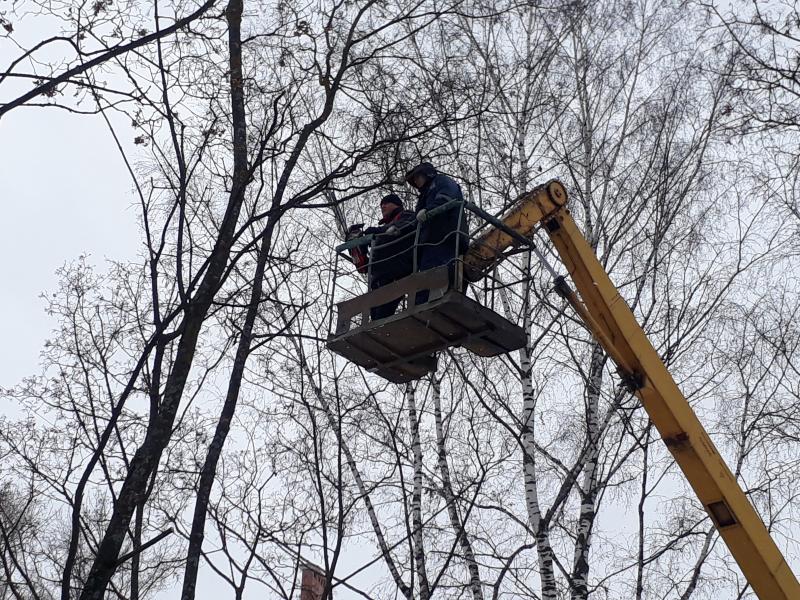 Артем Осколков:  Профессиональный спил деревьев