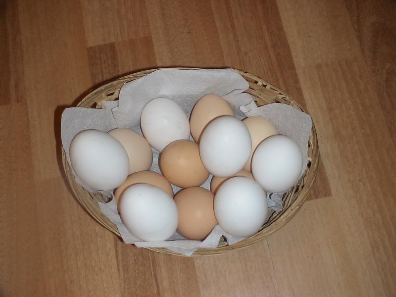 Алексей:  Куриные яйца
