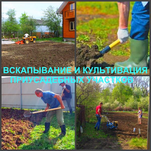 Ярослав:  Вспашка, вскапывание и культивация земли