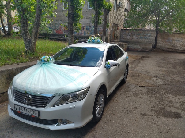 Анастасия:  Свадебные украшения на машину