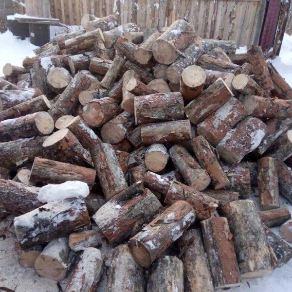 Олеся:  Продаю дрова сухие в чурках