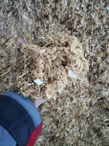 Опилки, Стружка