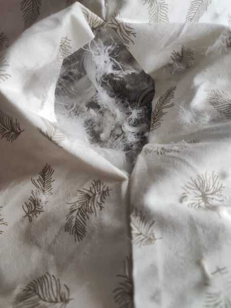 Реставрация подушек,перин и одеял из любого наполнителя.