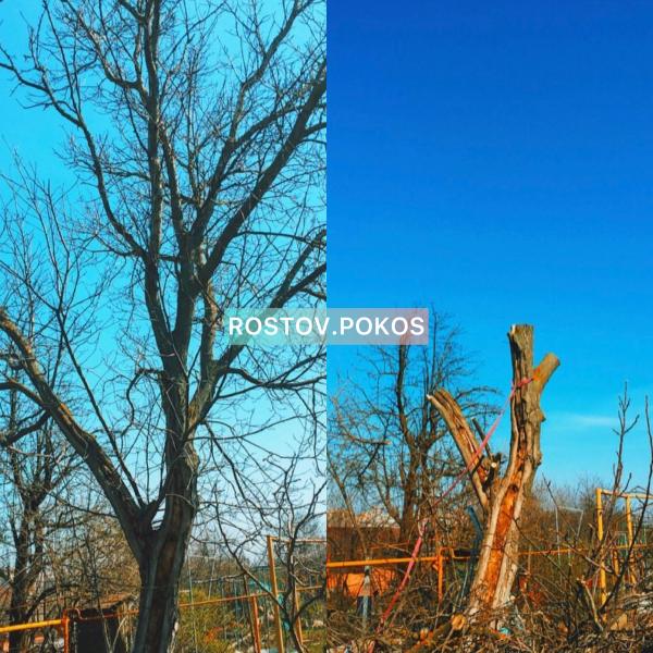 Ярослав:  Покос травы / Спил деревьев
