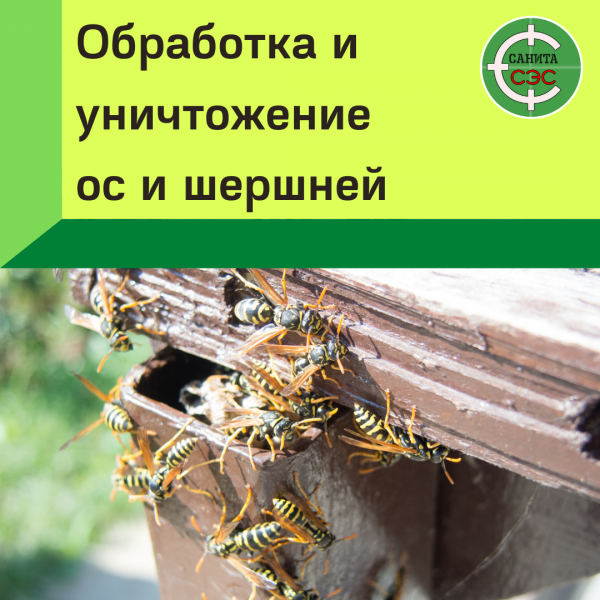 Санита-СЭС:  Уничтожение насекомых