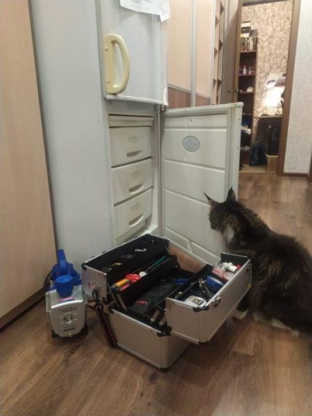 Владимир:  Ремонт холодильников на дому Санкт-Петербург недорого