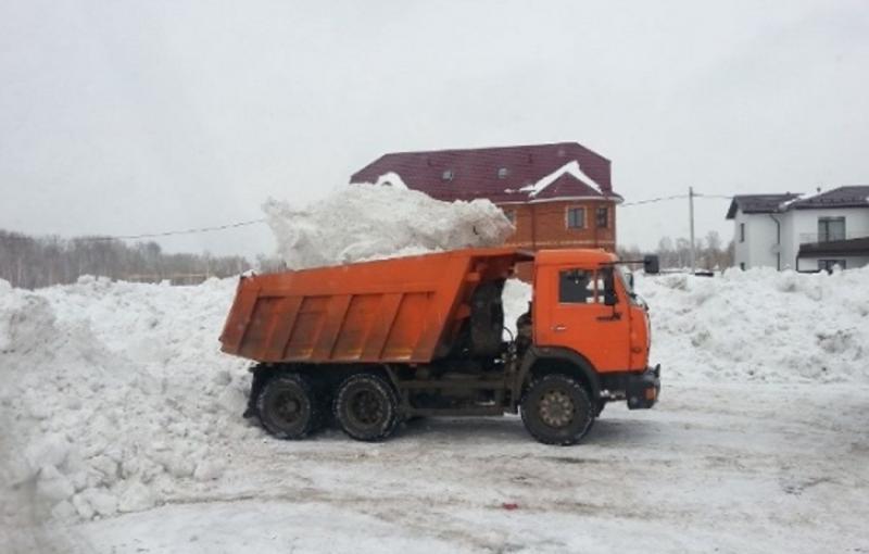 Артём :  Уборка снега, вывоз снега 