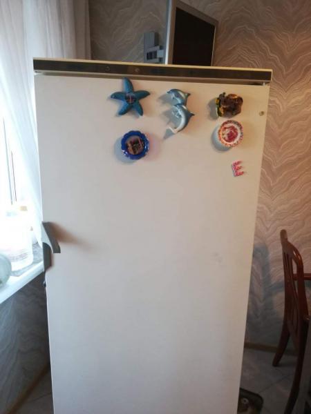 Сергей Одинцов:  Ремонт холодильников