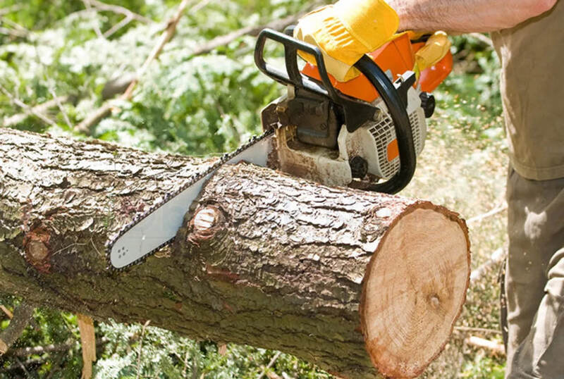 Спил деревьев любой сложности