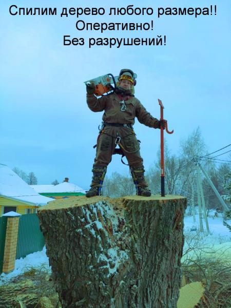 Максим Юрьевич Уханов:  Спилить, обрезать любое дерево.