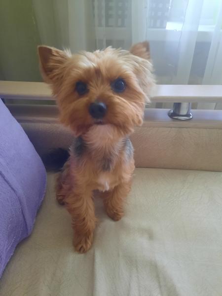 Ищем невесту для 